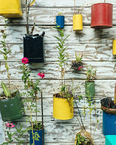 Consciência Ambiental - Reciclagem de Lixo